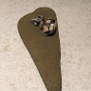 Meet your Posher, Jackie